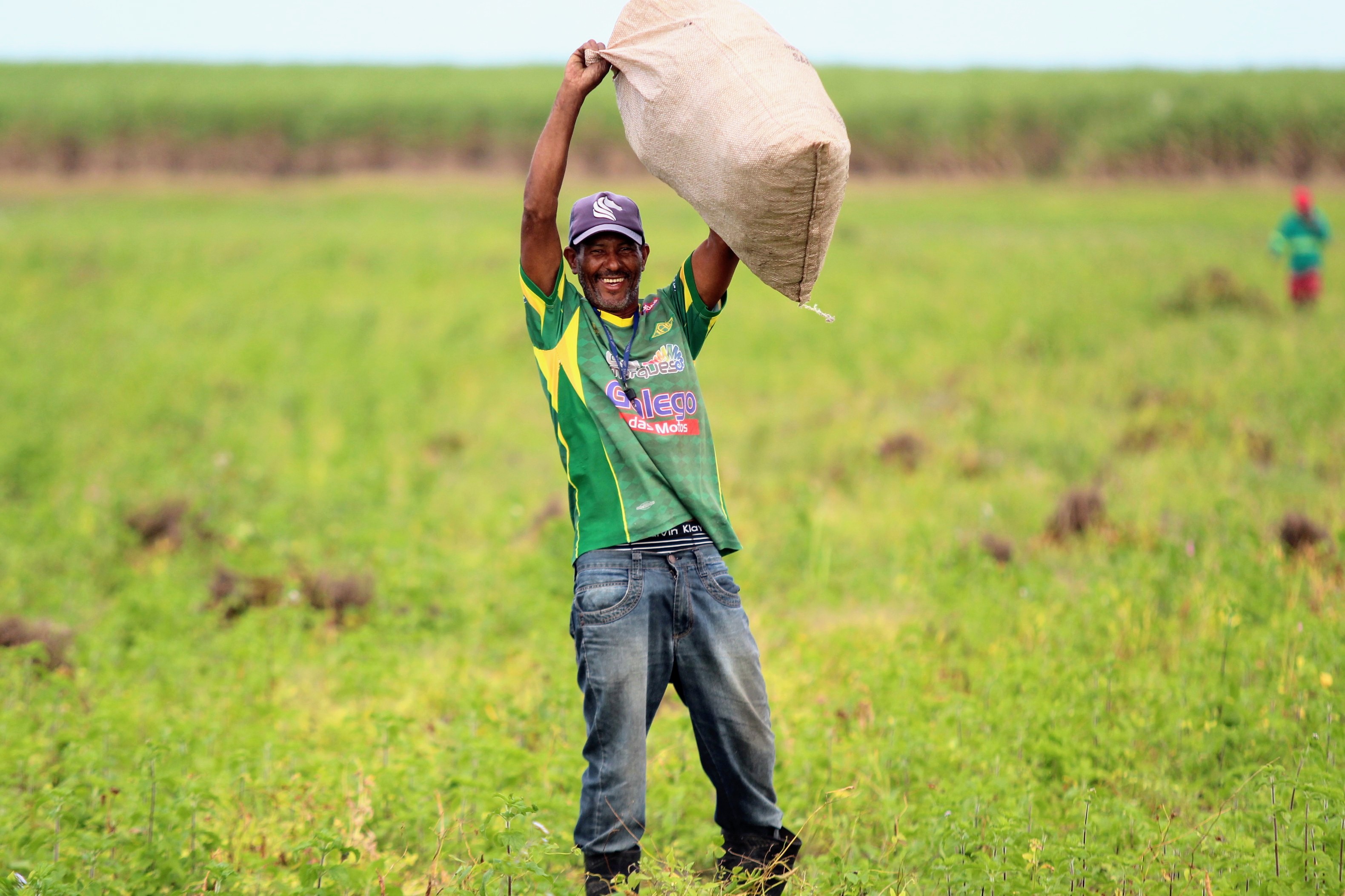 ANO II: Agricultores do Projeto Maná iniciam colheita