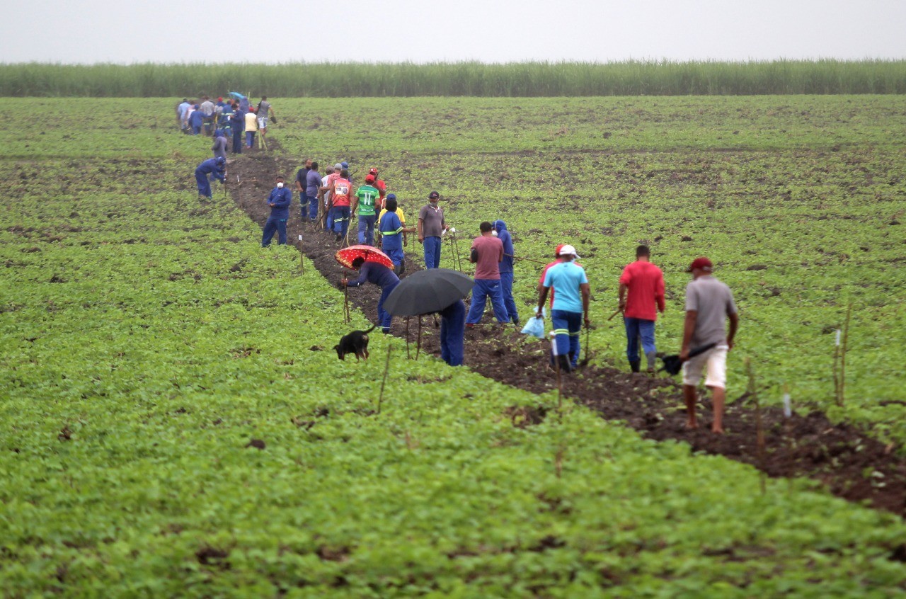 Projeto Maná: Prefeitura inicia entrega de lotes aos agricultores contemplados