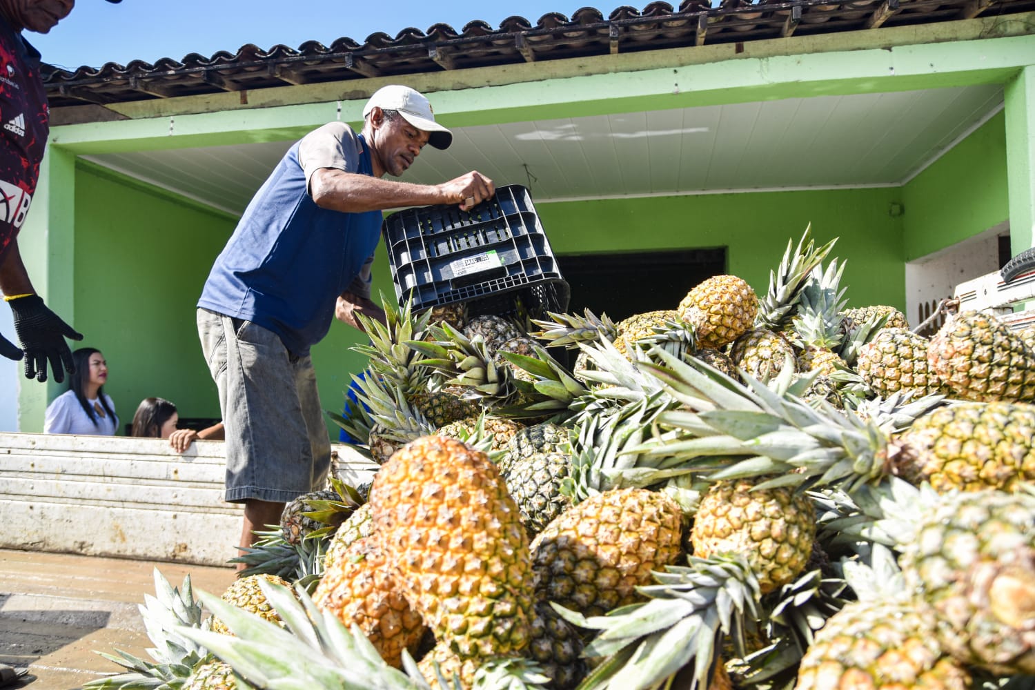 Segunda chamada do PAA irá distribuir cerca de 40 toneladas de alimentos para famílias em situação de vulnerabilidade em Coruripe