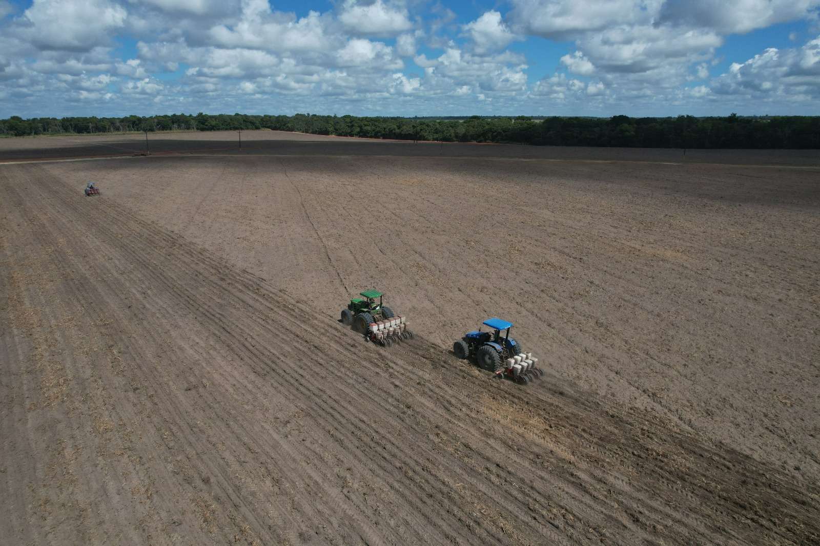Ano III: Projeto Maná espera colher 480 toneladas de feijão