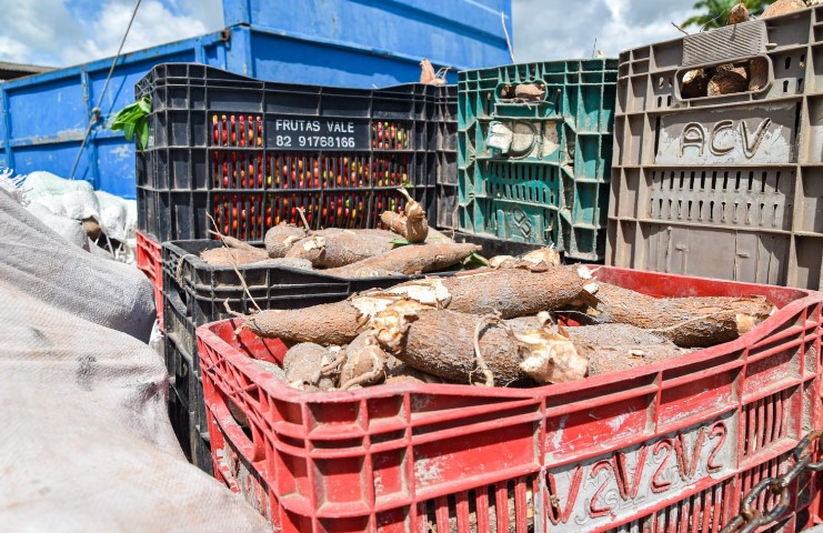 Programa de Aquisição de Alimentos será lançado na Pindorama na próxima sexta (12)