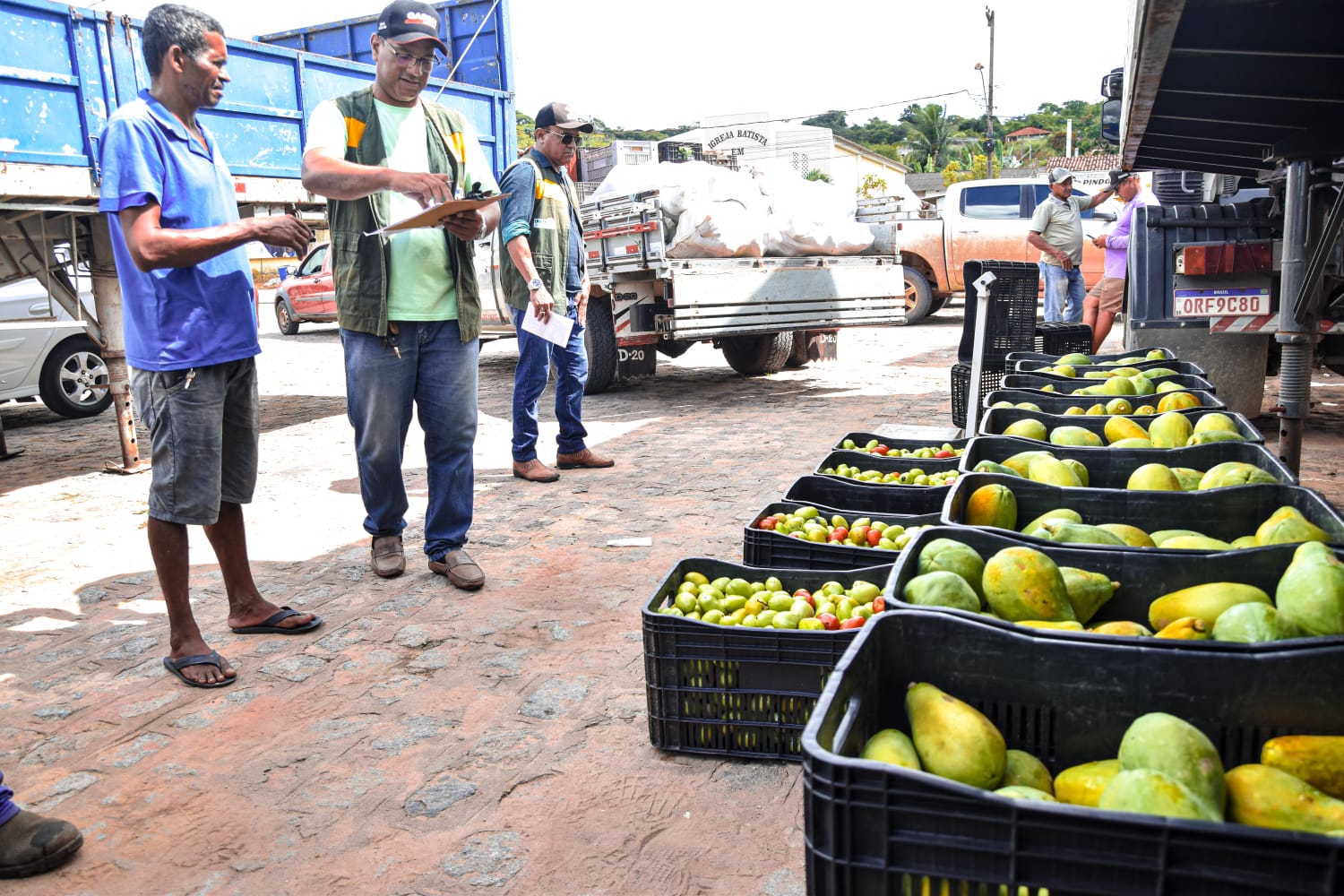 PAA adquire 12 toneladas de alimentos de agricultores coruripenses