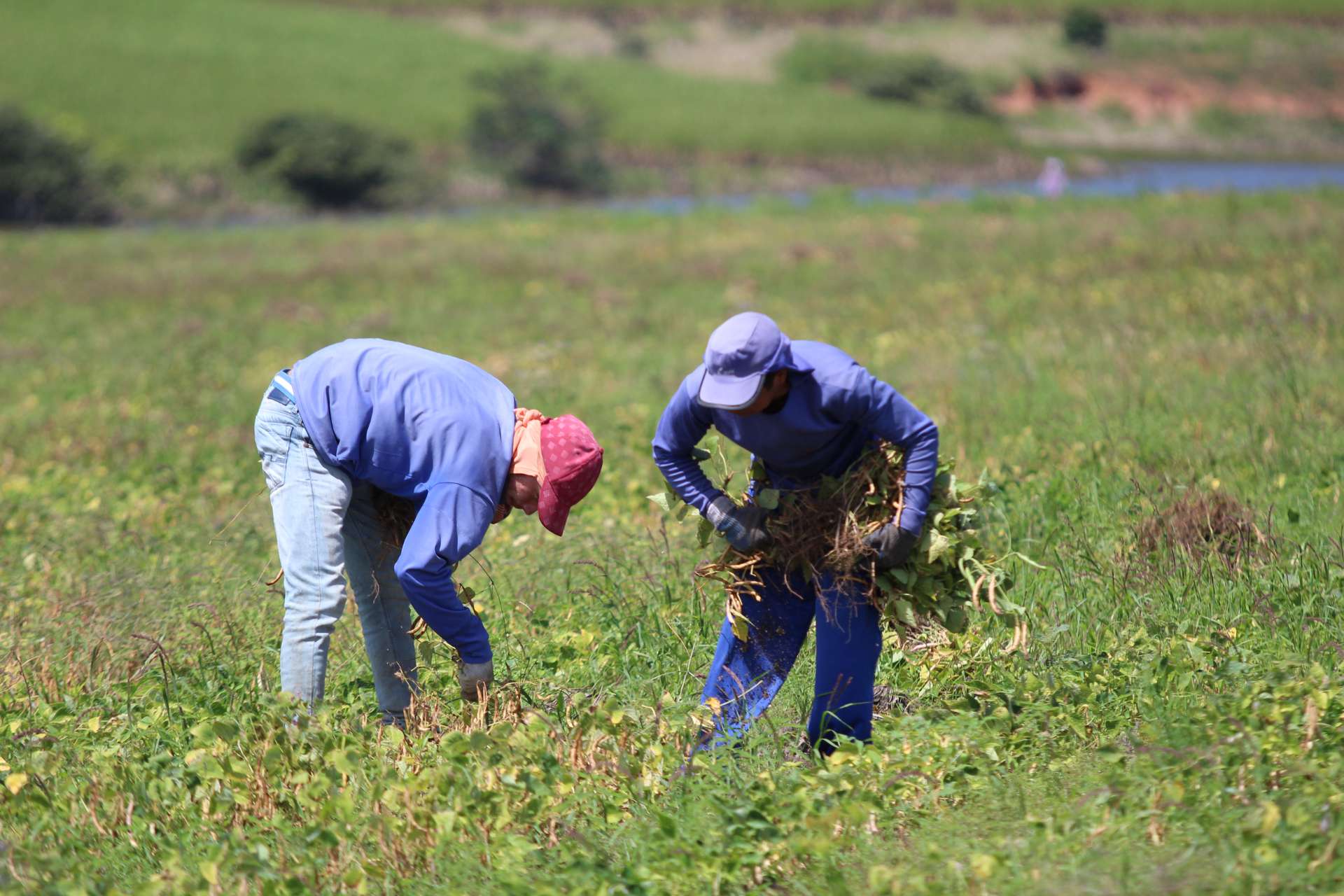 Agricultores de Coruripe podem se inscrever para o Programa Planta Alagoas