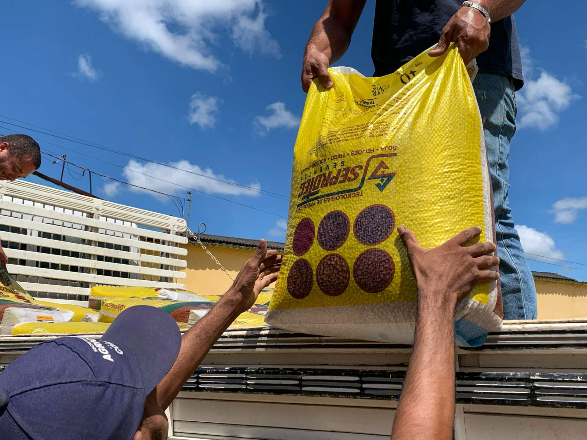 Coruripe recebe sementes de feijão para impulsionar renda e alimento com o Projeto Maná