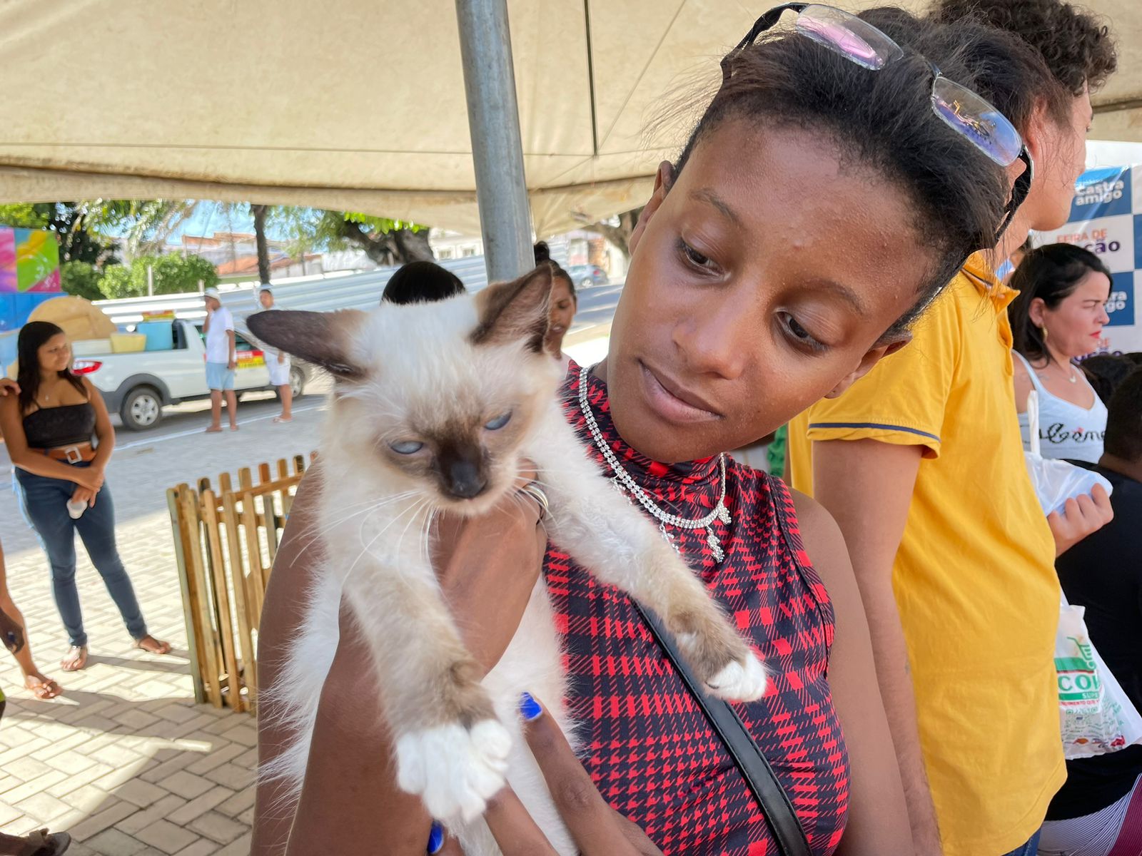 2ª Edição da Feira de Adoção de Animais é realizada na Praça Dr. Castro Azevedo