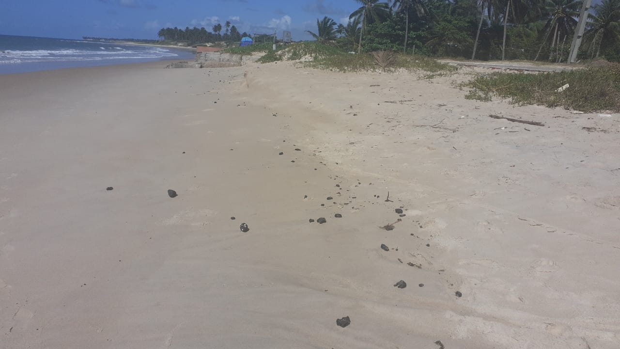 Fragmentos de óleo são encontrados em praia de Coruripe