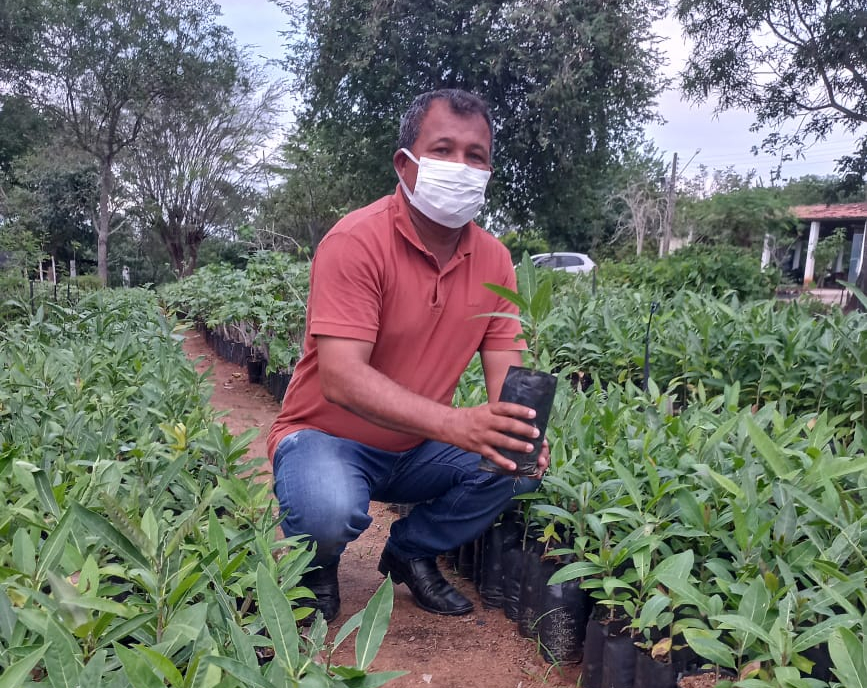 projeto: palestina mais verde