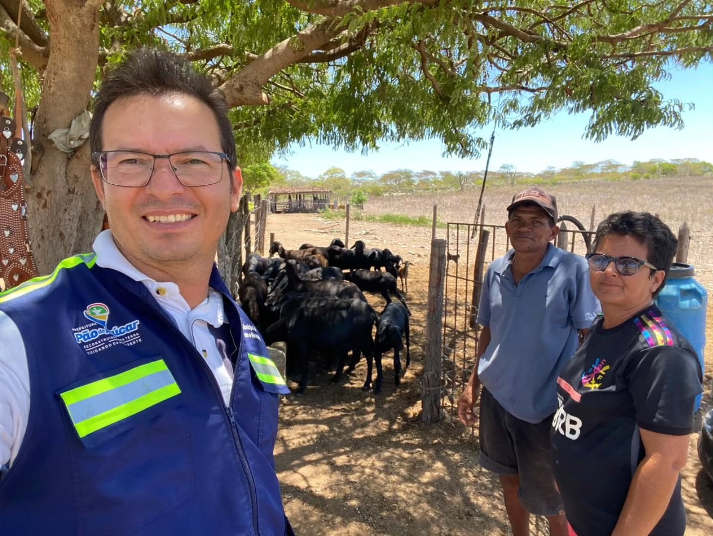 Secretaria Municipal de Agricultura disponibiliza o serviço de consultoria técnica gratuita em ovinos.