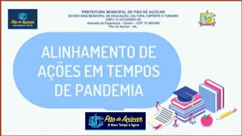 Mapeamento Estrutural Das Atividades Remotas Em Tempo De Pandemia.