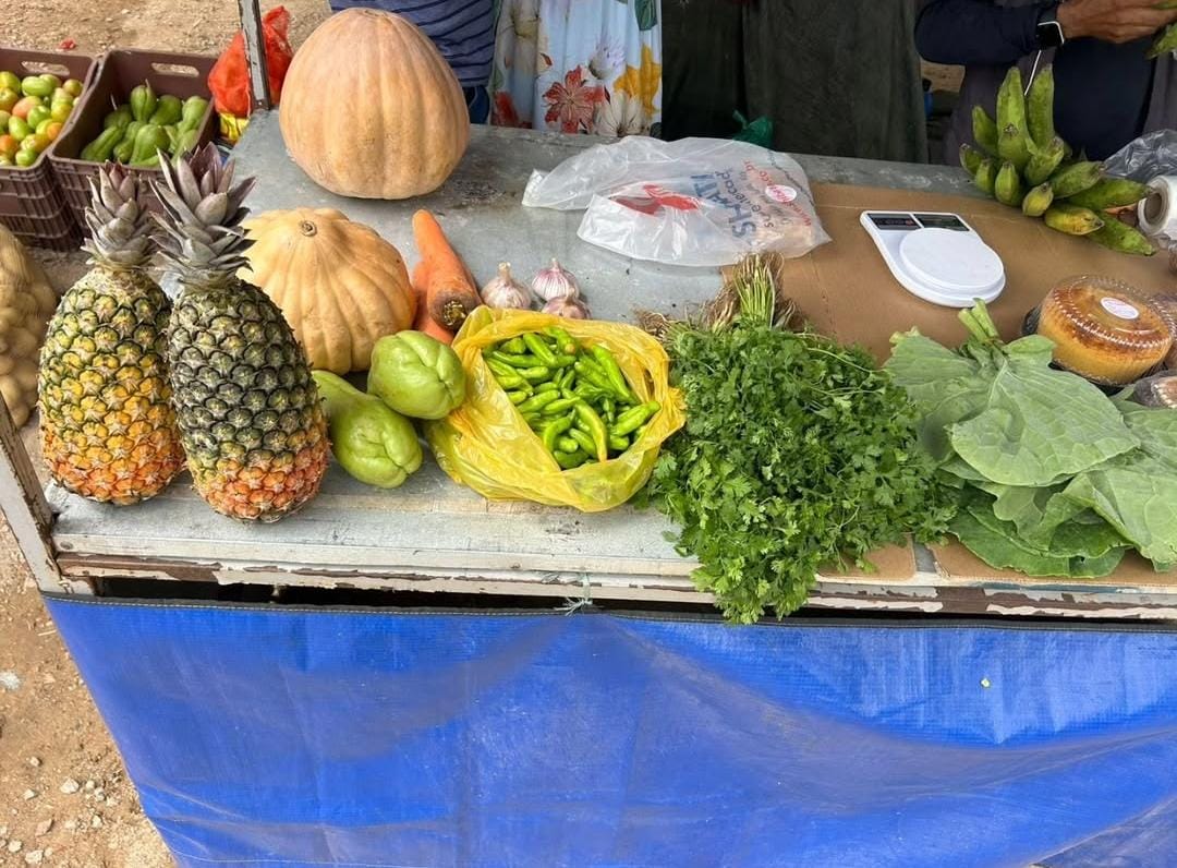 2° dia da 5° feira da agricultura familiar e negócios