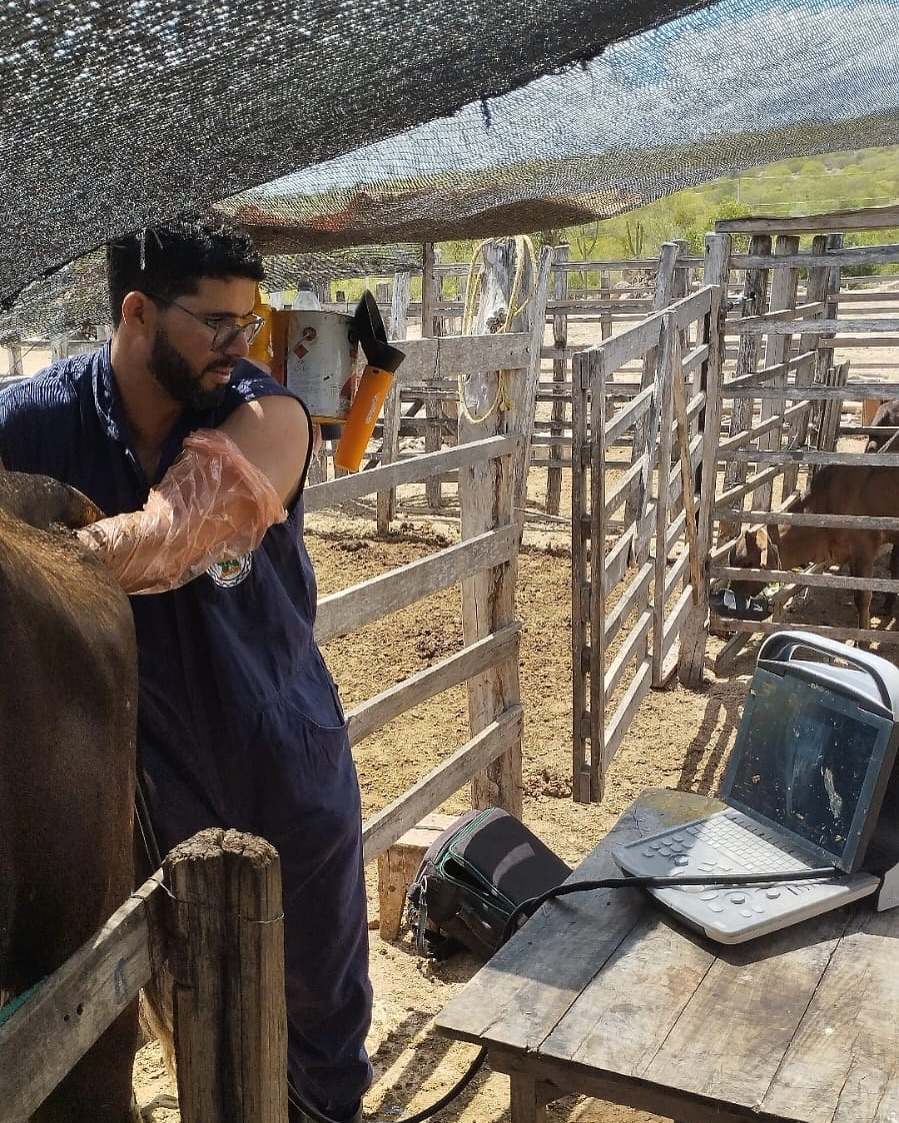Agricultura em Ação: Visita Técnica Reforça Melhoramento Genético e Produtividade do Gado Leiteiro