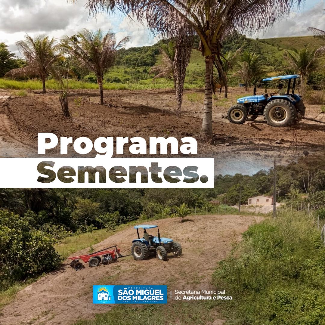 Avanço no cultivo das terras