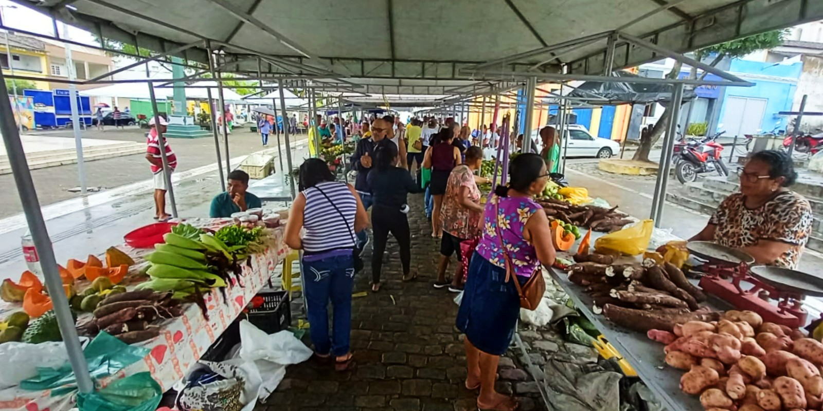 3ª Feira Municipal da Agricultura Familiar de Viçosa acontece nesta sexta (30)