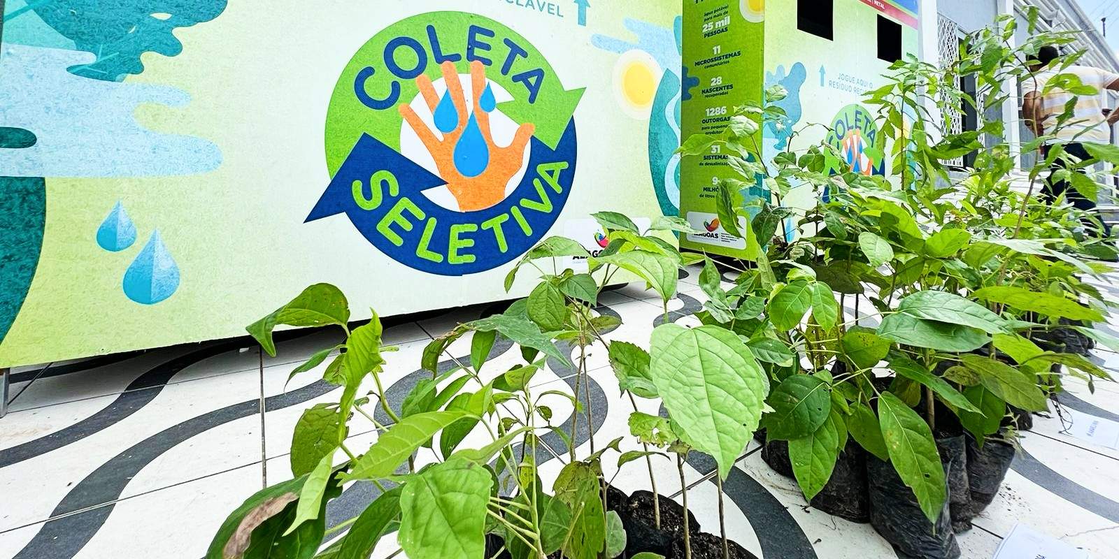 No Dia Mundial do Meio Ambiente, Viçosa distribui 400 mudas de espécies da Mata Atlântica