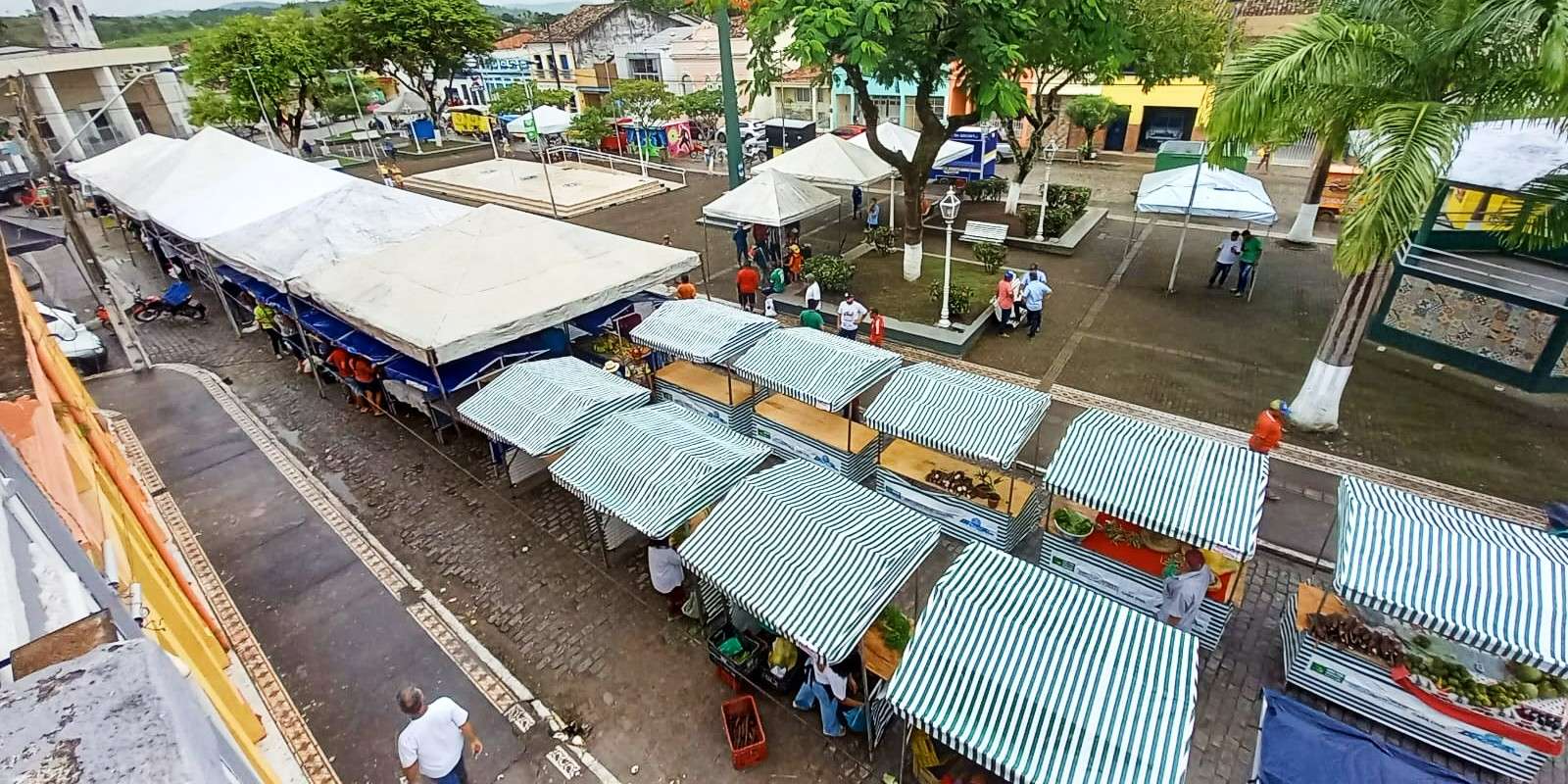 Viçosa fortalece agricultura familiar com realização de feira mensal