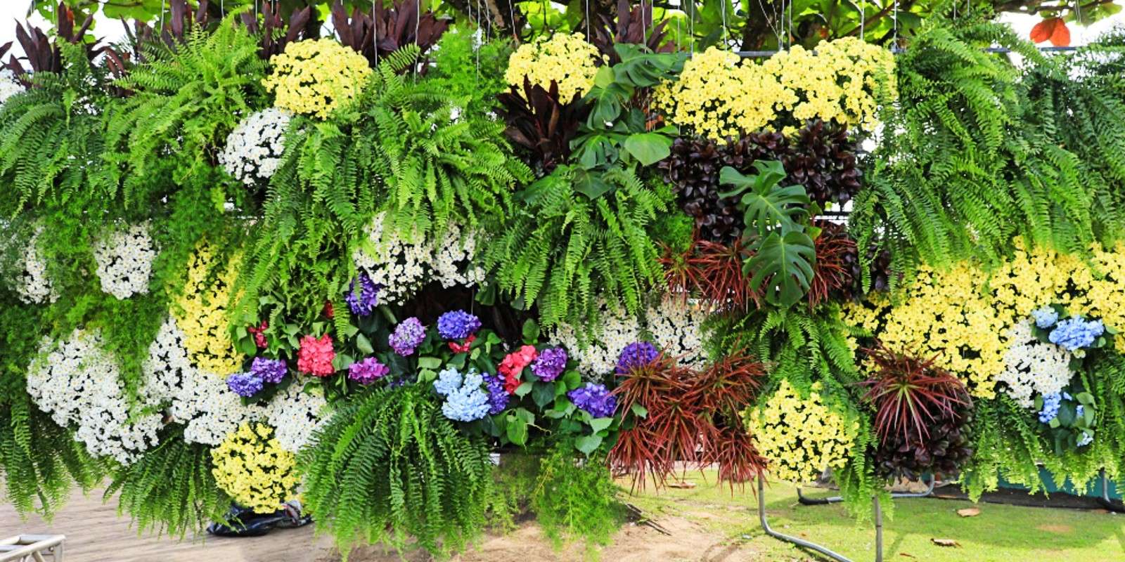 Feiras da agricultura familiar e de plantas ornamentais movimentam Viçosa